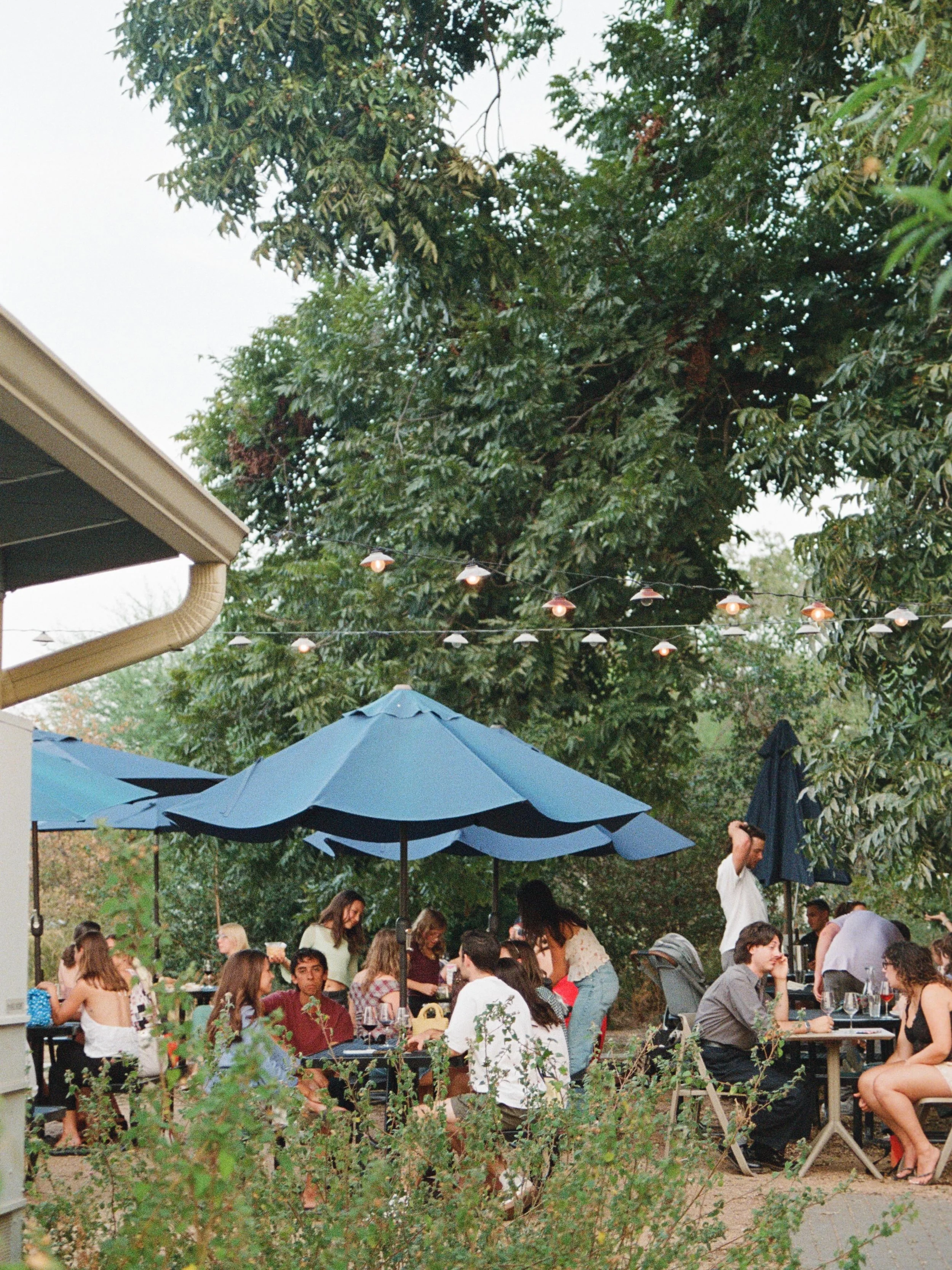 We&rsquo;ve got new by the glass wines this week, plus some exciting bottles on the shelves. Come try for yourself. And, we hope to see you on Saturday for our grand opening party!