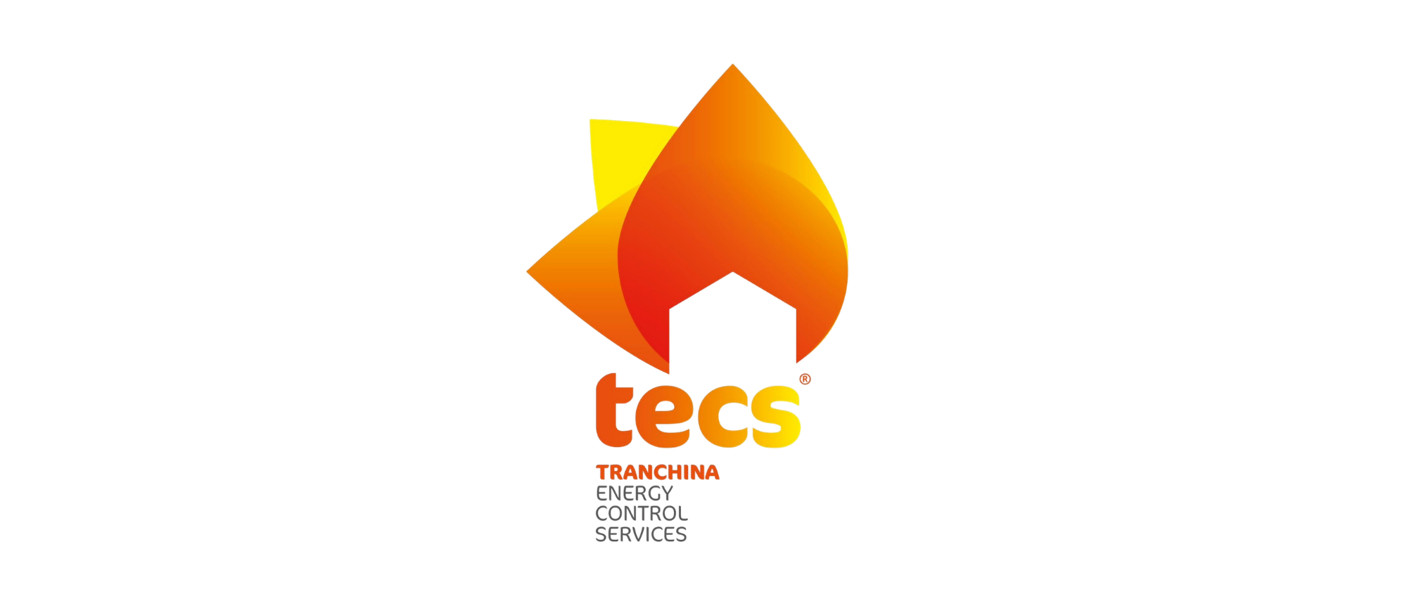 Logo 'TECS'