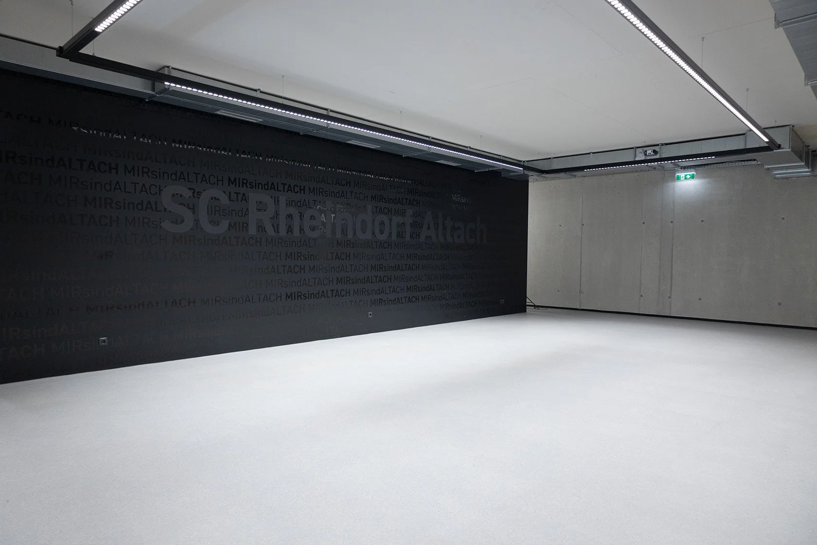mixed zone 3.jpg
