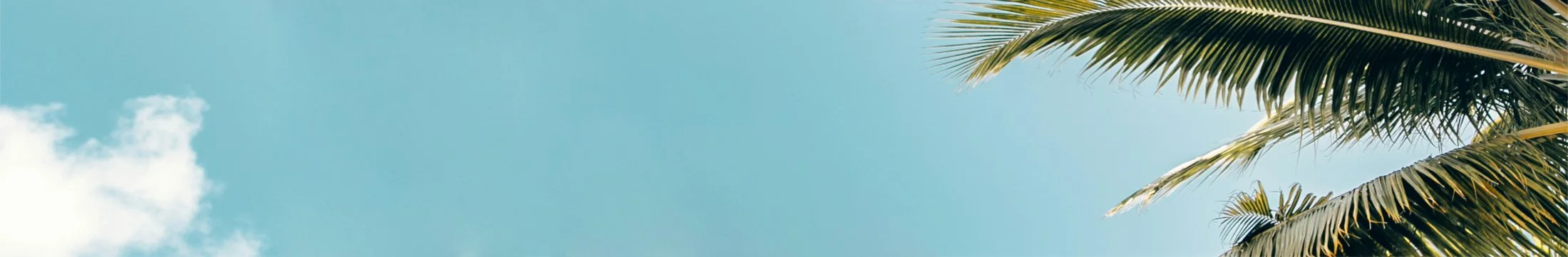 Background image of palm trees and clouds