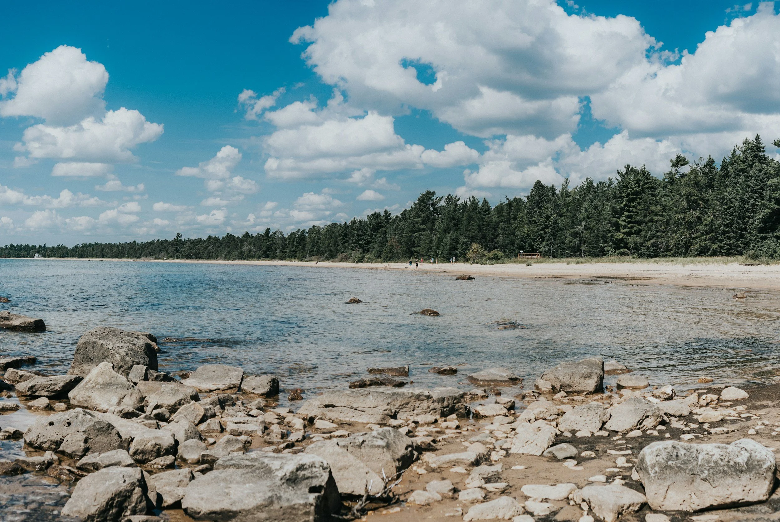 Rocky Lake Michigan shoreline with pine trees, near Kat Shaw's home in Chicago
