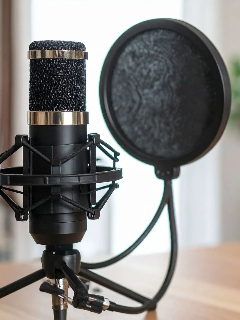A professional microphone with a pop filter on a stand.
