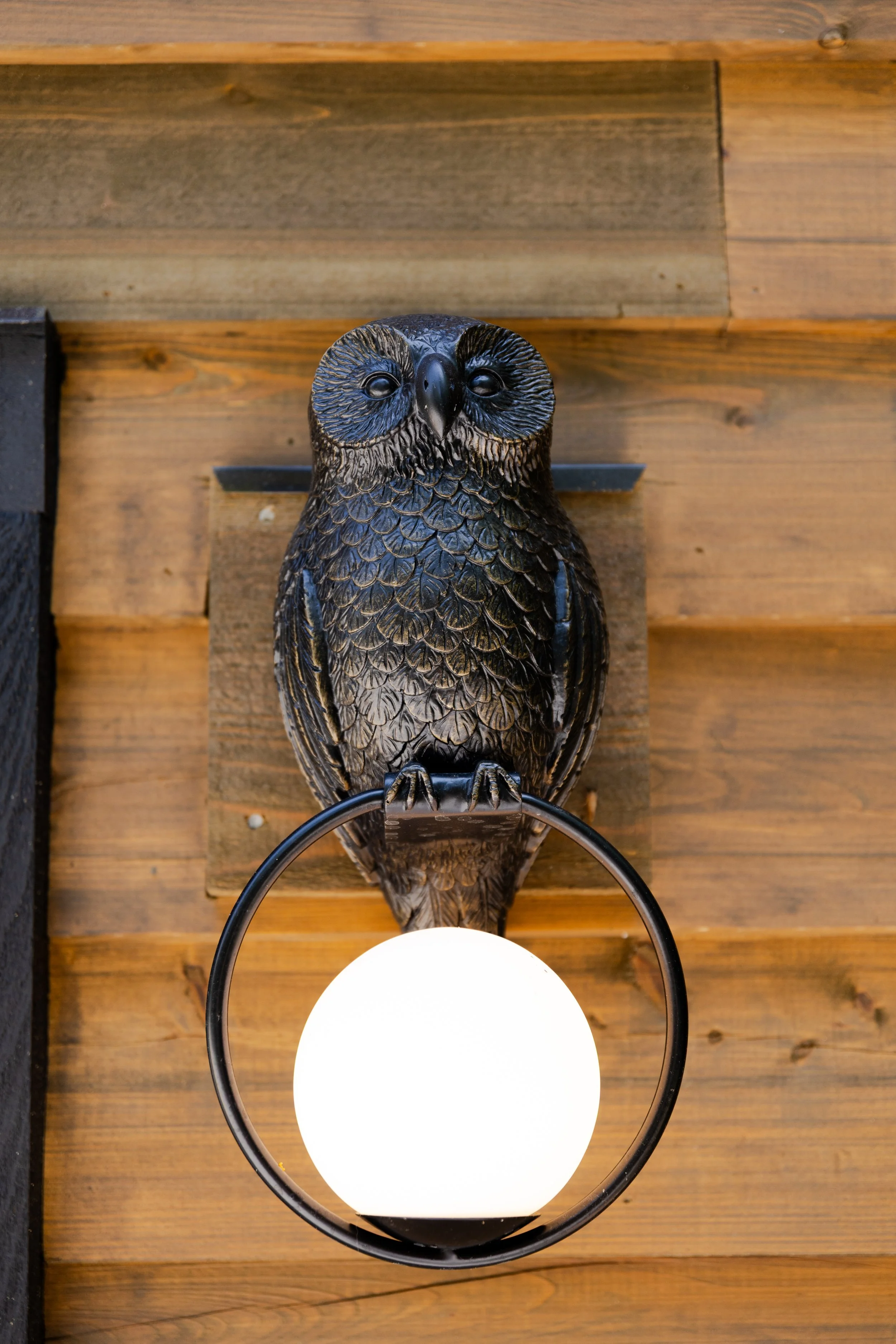 Decorative black owl sculpture mounted on a wooden wall, illuminated by a hanging white spherical light.