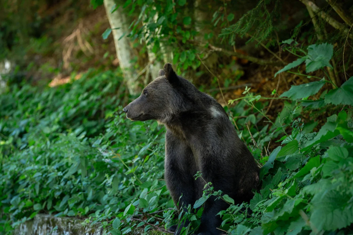 _DSC1069-3.webp