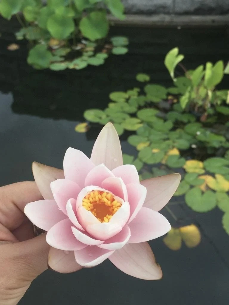 A Minority Everywhere I Go. Leading in a Global Mosaic. Part IV: Fullness and Stillness of Life