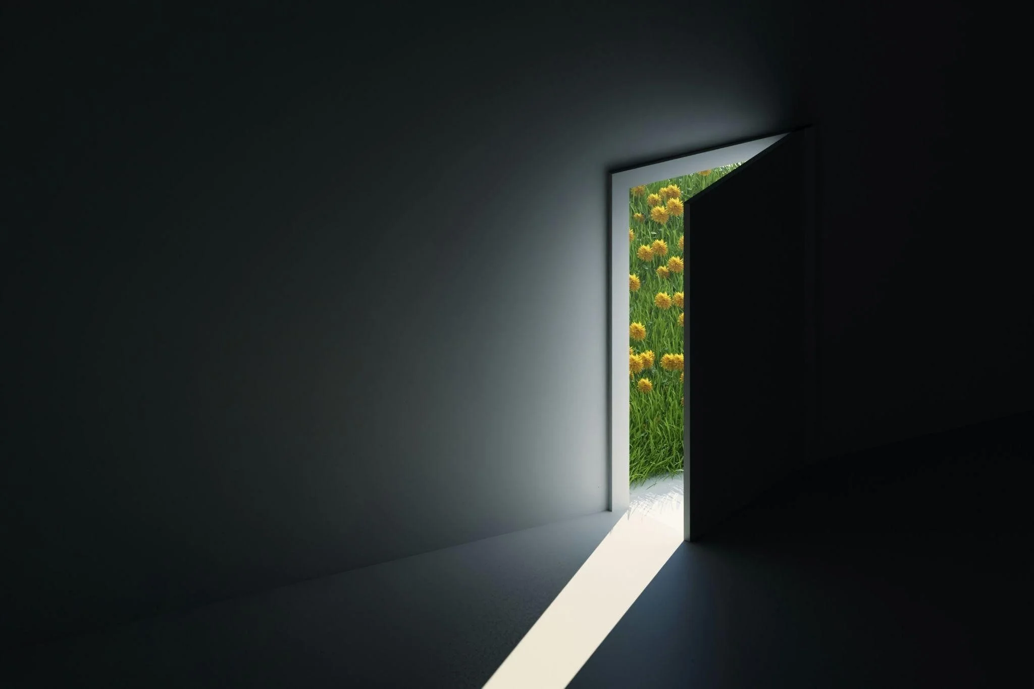 Doorway to Collaboration: Shadow and Light