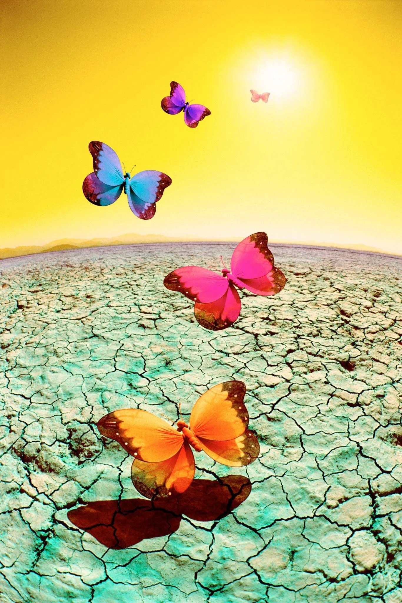 The Dichotomy of Change | A Love-Hate Relationship with Change