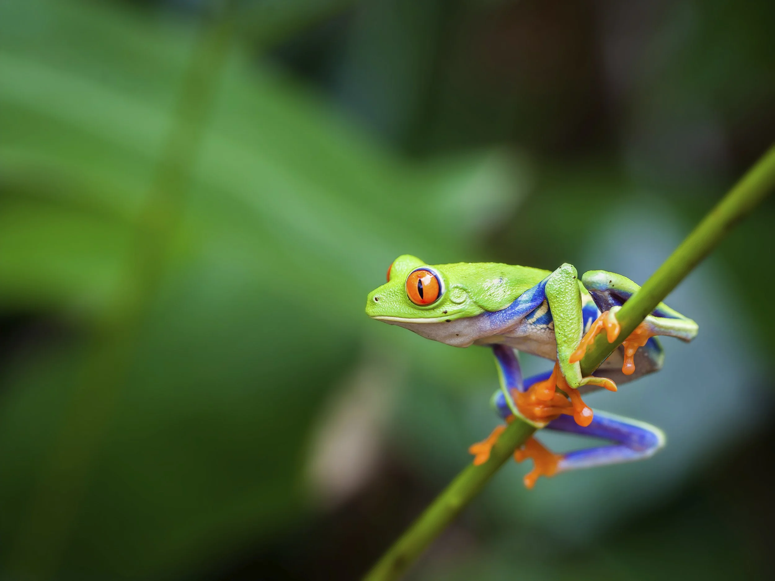 Power of Silence and Conversation: Finding Both in a Noisy World
