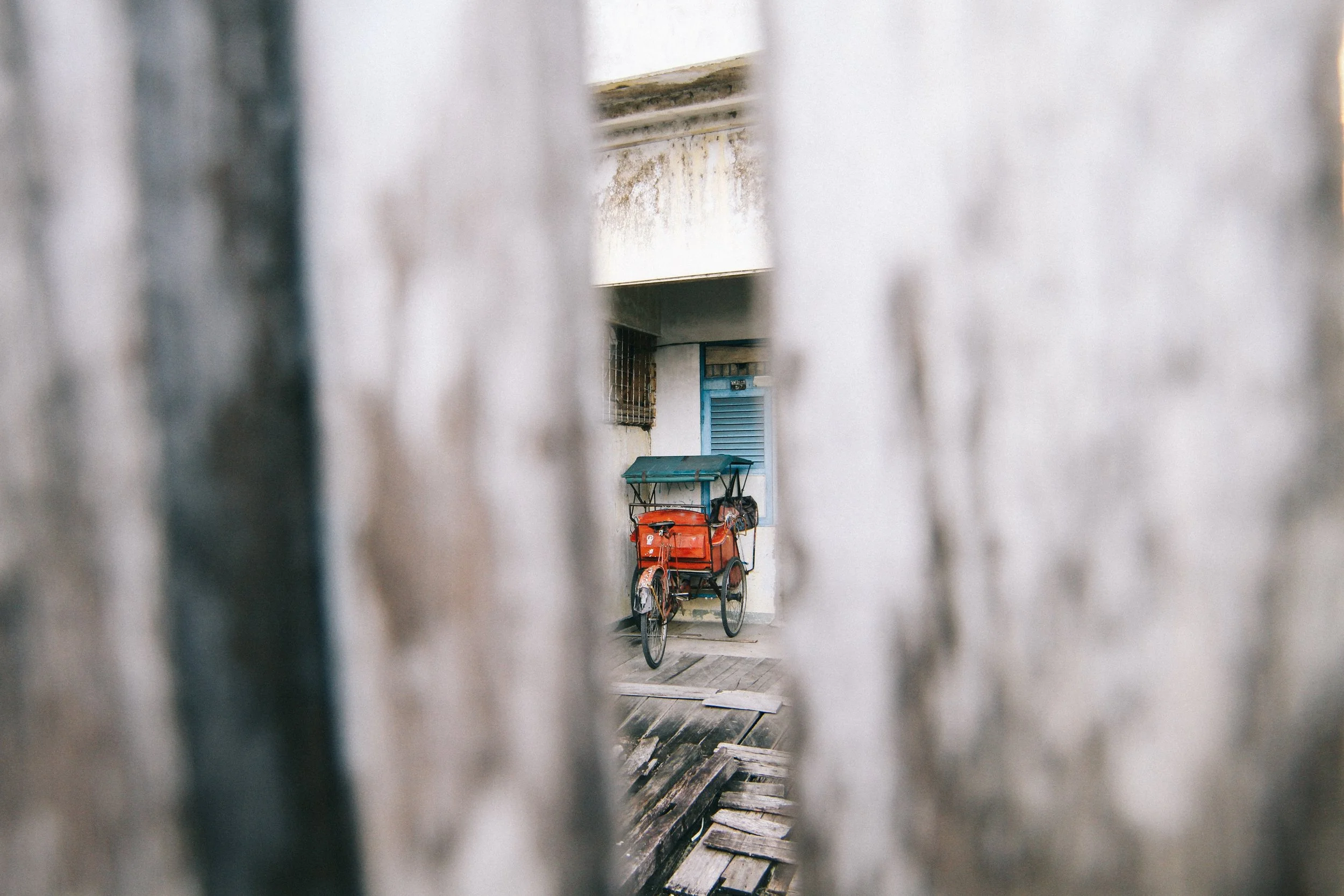 I Catcha Glimpse - Livelihood