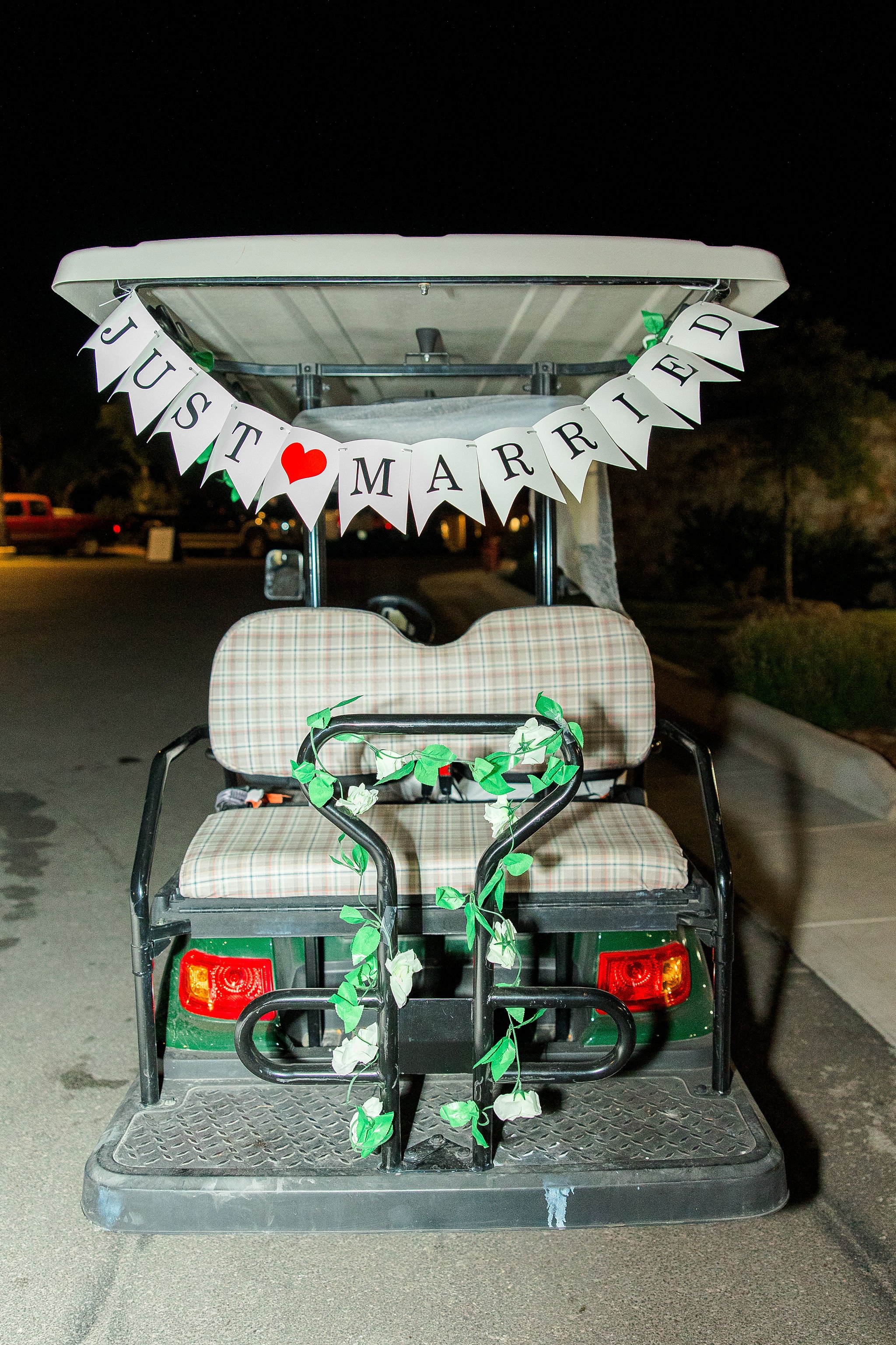 WillowRidgeWedding_Wolf_Black_1192.JPG