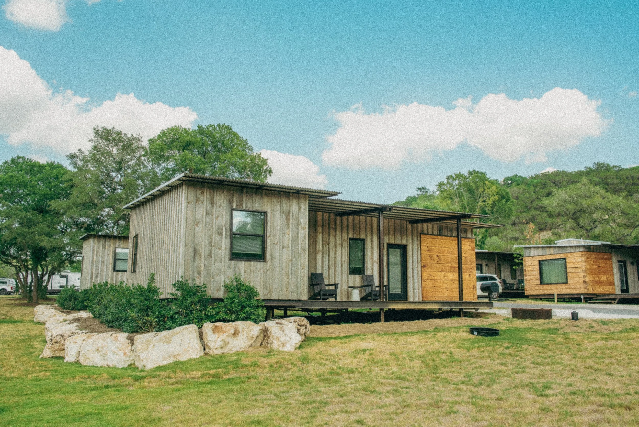 wtw-coyote 002.jpg
