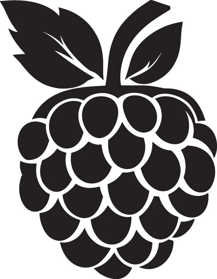 You found the missing raspberry!