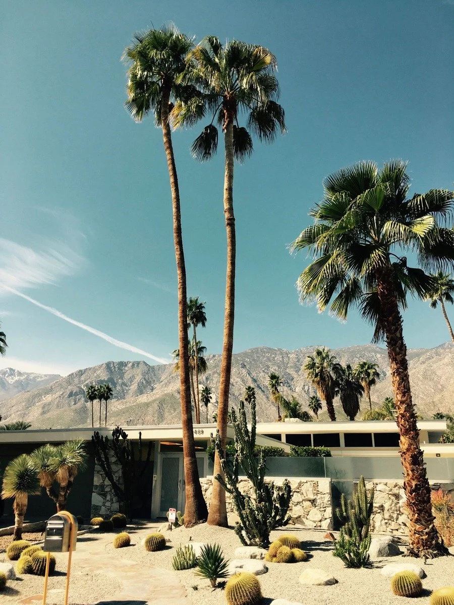 Palm Springs, CA: Stay & Train