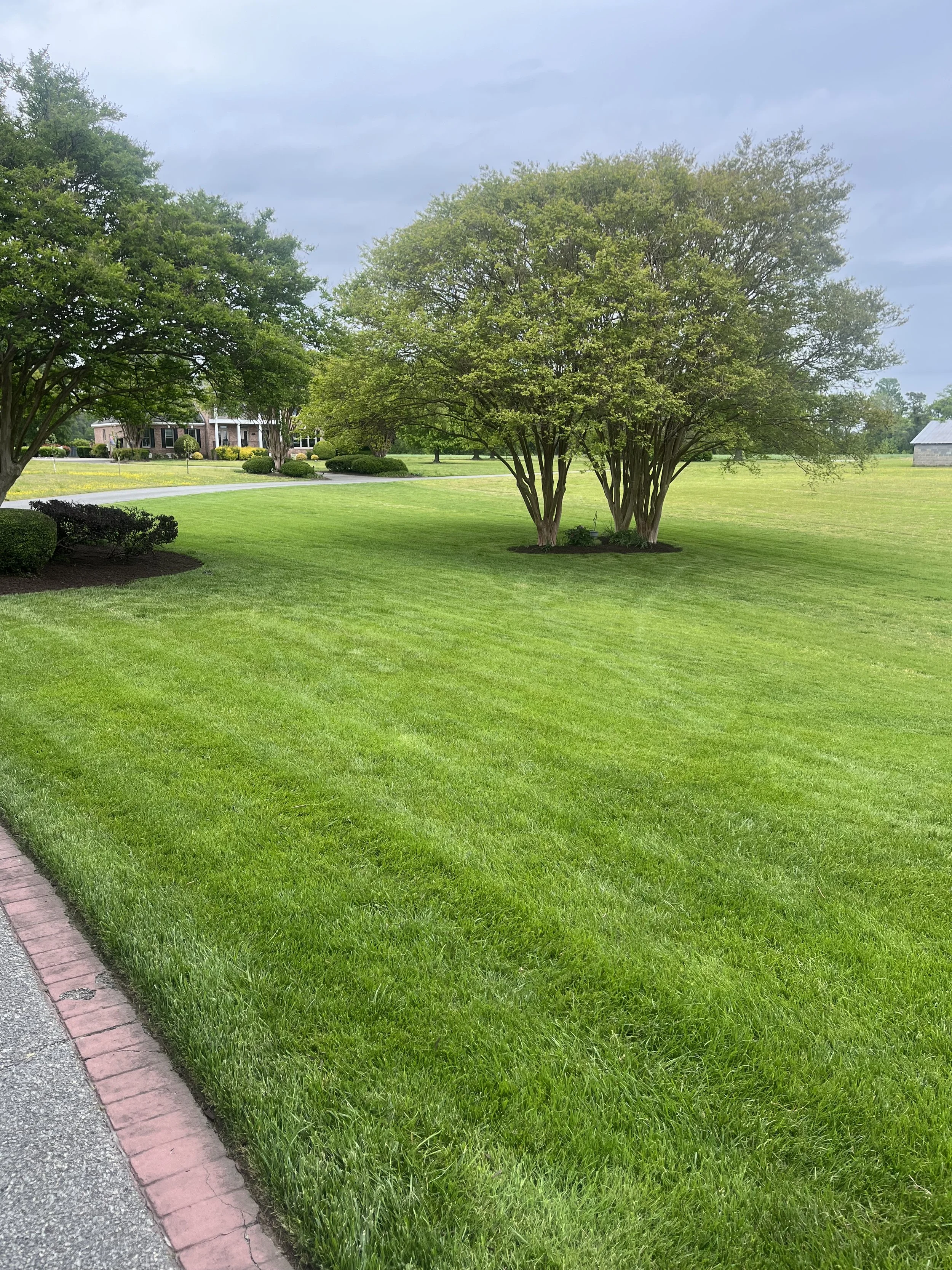A well-maintained lawn with green grass, bordered by a sidewalk with a pink brick edge, and several trees and shrubs in the background under a cloudy sky.