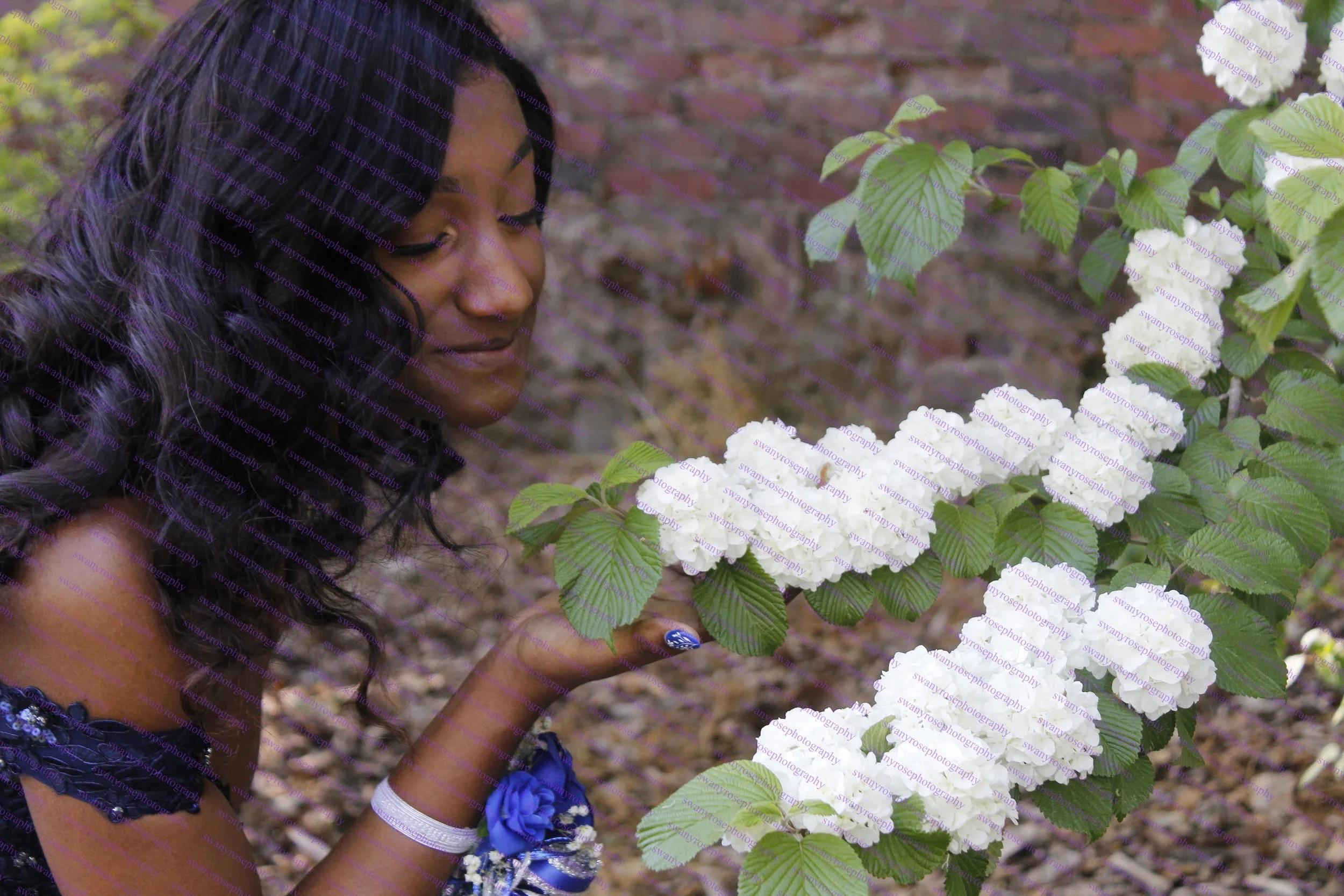 A woman with long black hair wearing a black and blue dress, holding white hydrangea flowers outdoors near a brick wall.