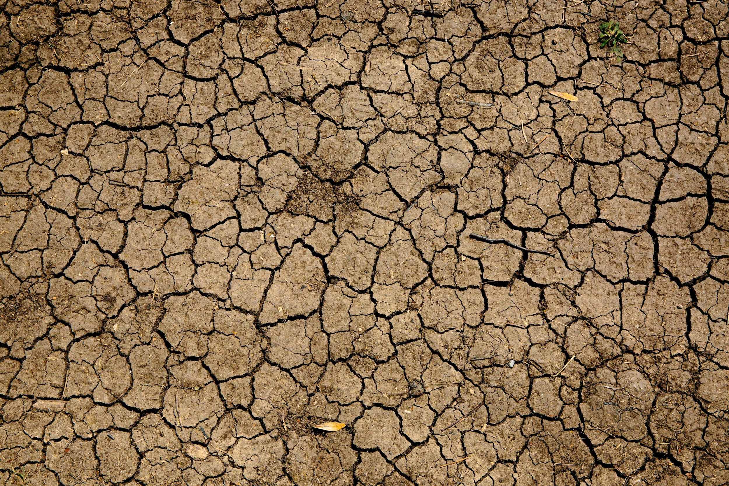 A Super El Niño Is Coming. Puerto Rico Is Already Struggling.