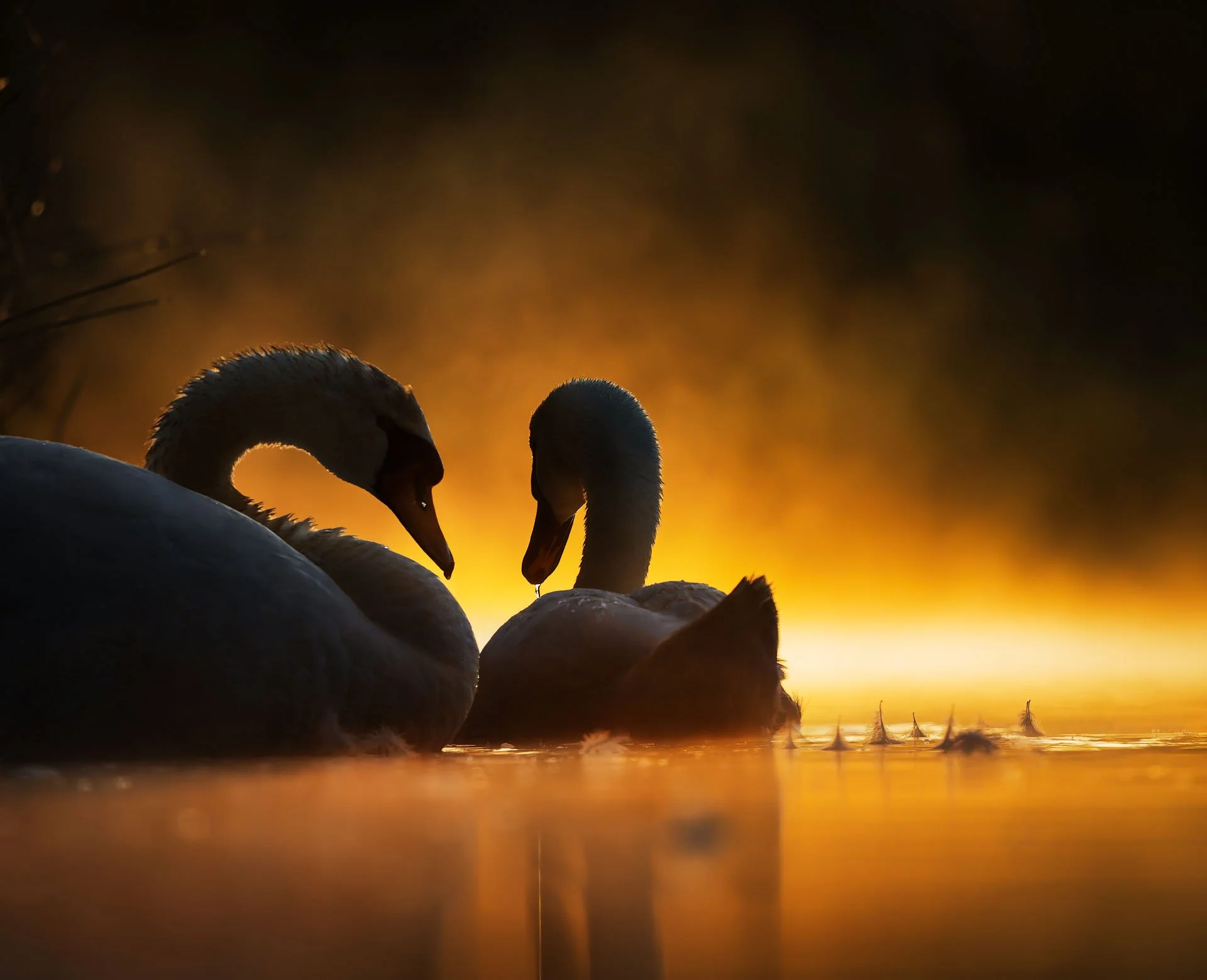 _5050306+309 4_Original ratio_1920x1559_U_90-8.jpg