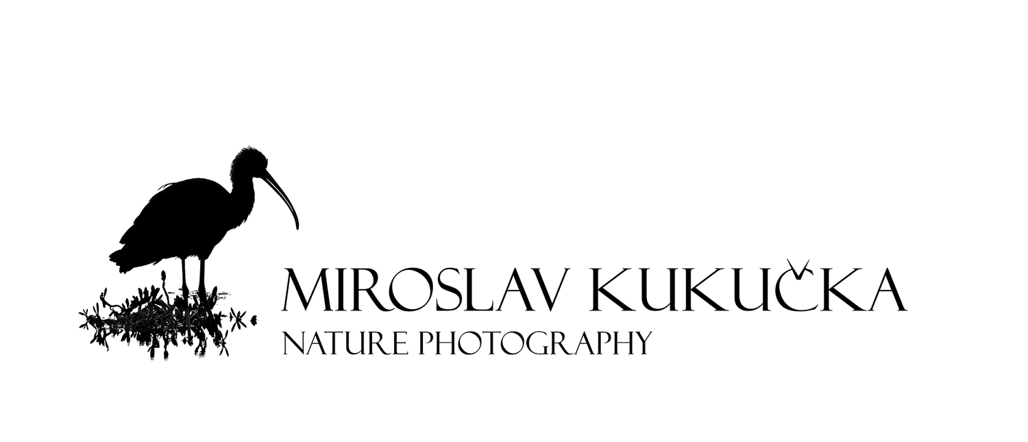 Miroslav Kukucka Nature Photography