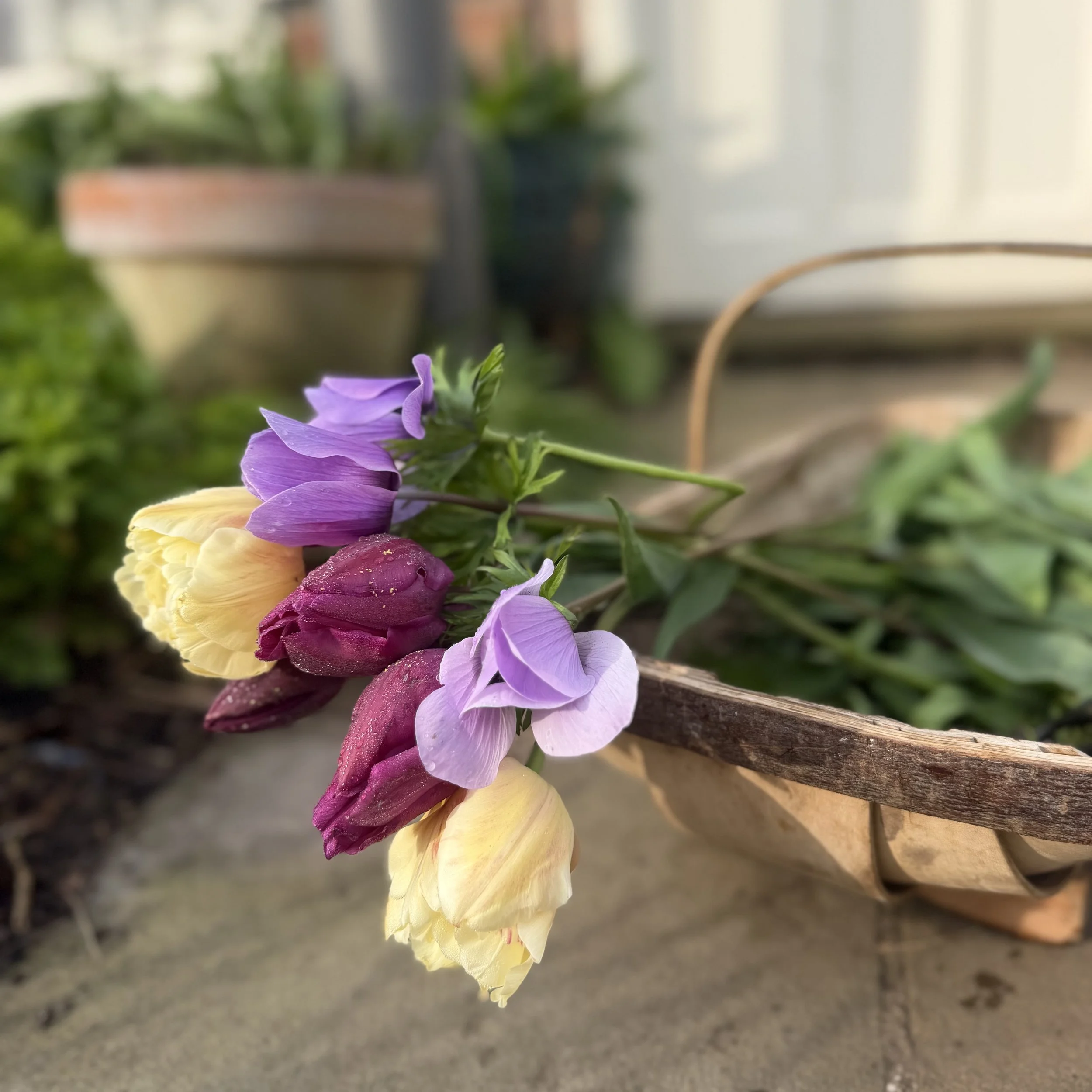 Colorful flowers including purple, yellow, and pink blossoms are arranged on a brown wooden surface outdoors.