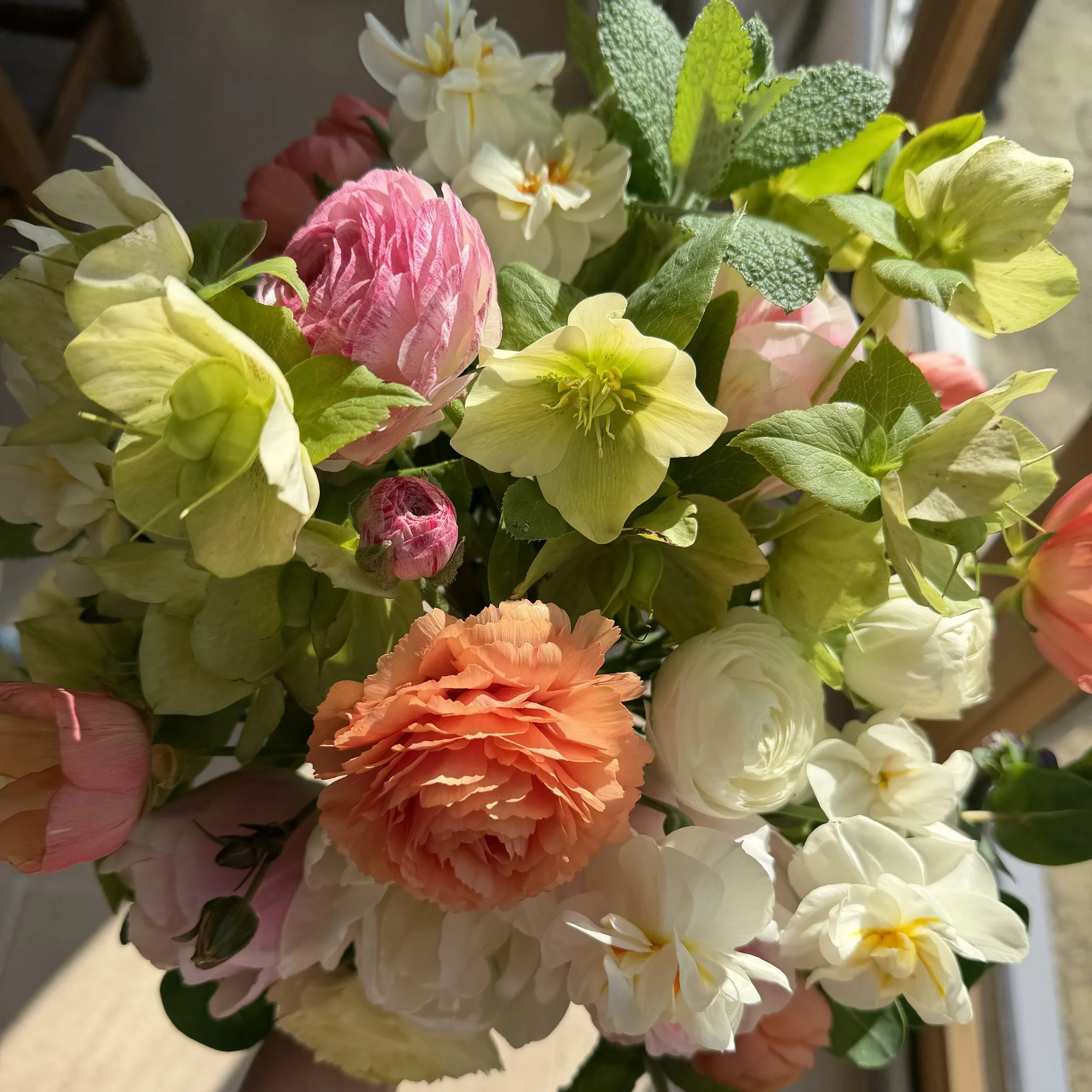 Close-up of a vibrant bouquet of mixed flowers including pink, white, yellow, orange, and peach blooms with green leaves background, illuminated by sunlight.