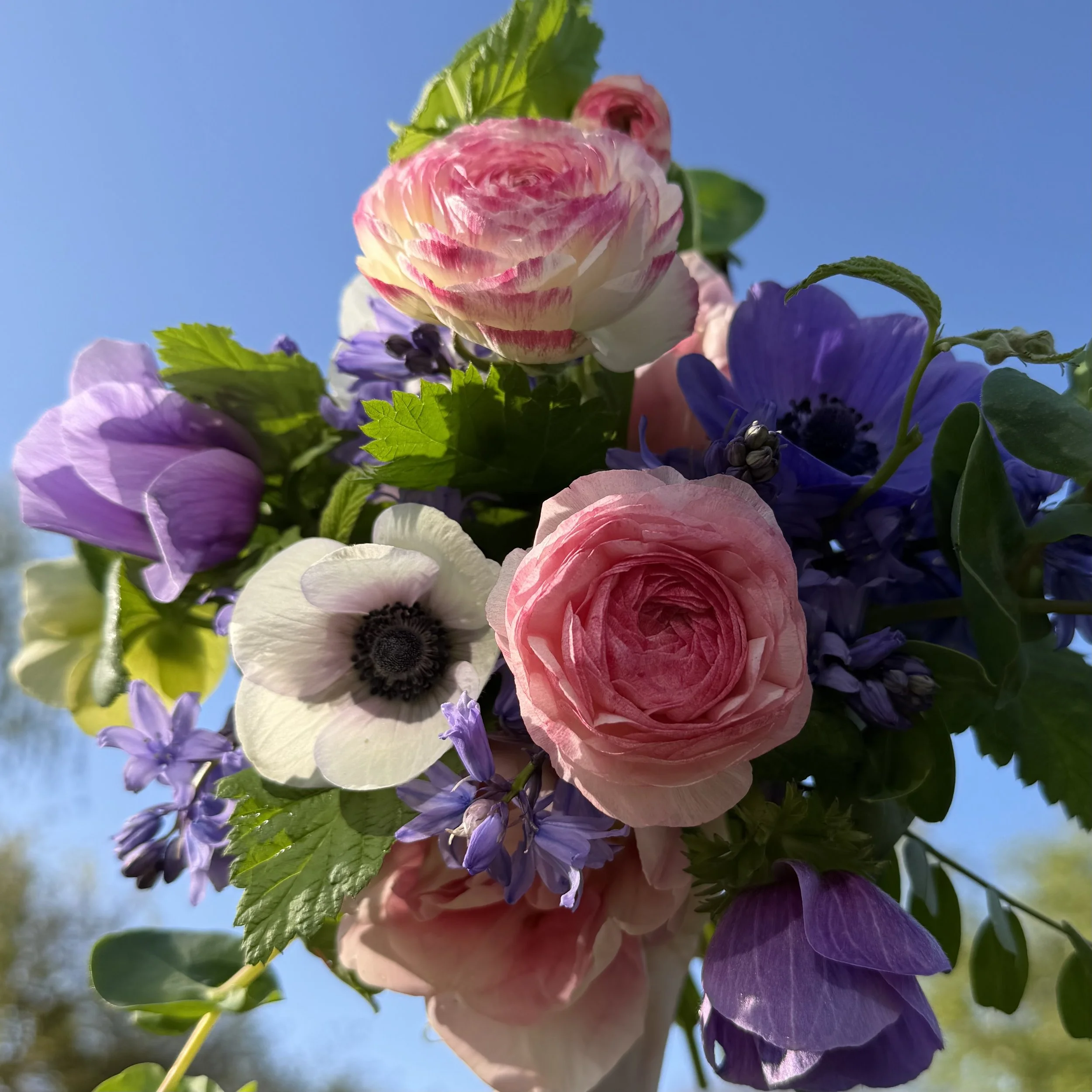Close-up of a colorful bouquet of flowers against a blue sky, featuring pink, white, purple, and yellow blooms with green leaves.