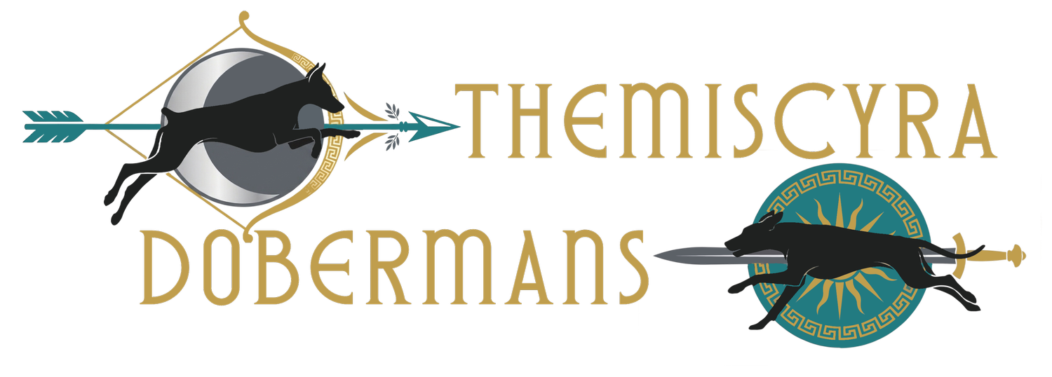 Themiscyra Dobermans