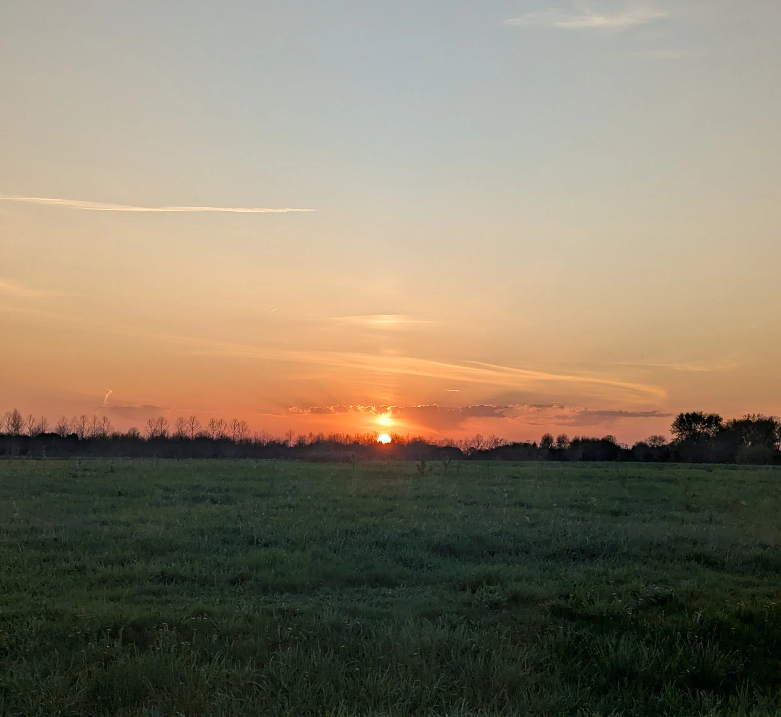 Field in McHenry County Illinois