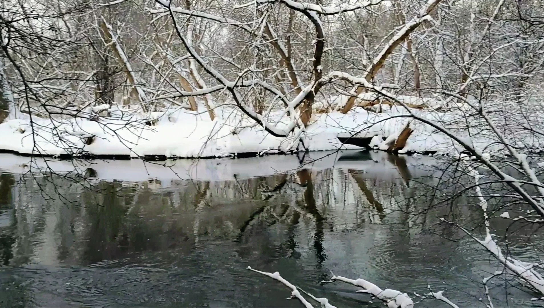 winter.png