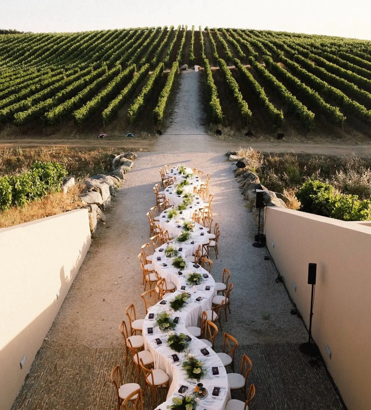 D&icirc;ner d&rsquo;exception au c&oelig;ur des vignes ✨ Une table &eacute;l&eacute;gante dress&eacute;e au milieu d&rsquo;un domaine viticole, dans un cadre naturel unique. Une inspiration parfaite pour un mariage, un d&icirc;ner priv&eacute; ou un 