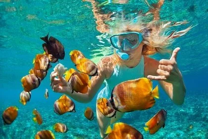 Girl swimming underwater in a pool with a snorkeling mask, surrounded by numerous fish.