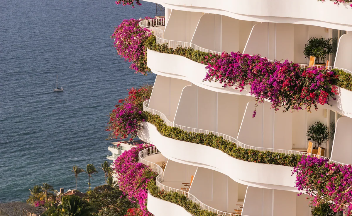 A multi-story white building with curved balconies decorated with pink and purple flowers overlooking the ocean. There's a sailboat on the water and palm trees at the bottom.