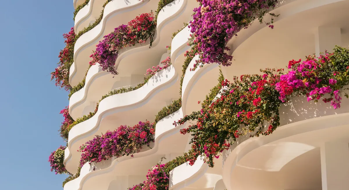 Building with white balconies and abundant pink and purple flowering plants.