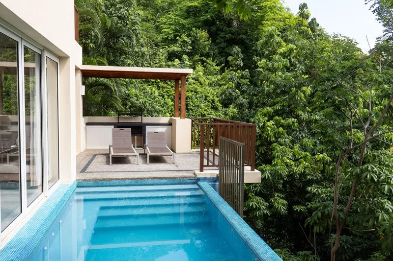 Terrace with pool, lounge chairs, and surrounding lush green trees.