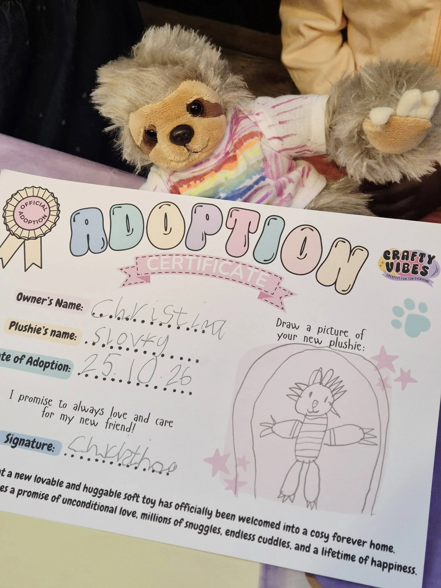 Sloth Party - Adoption and painted tshirt.jpg