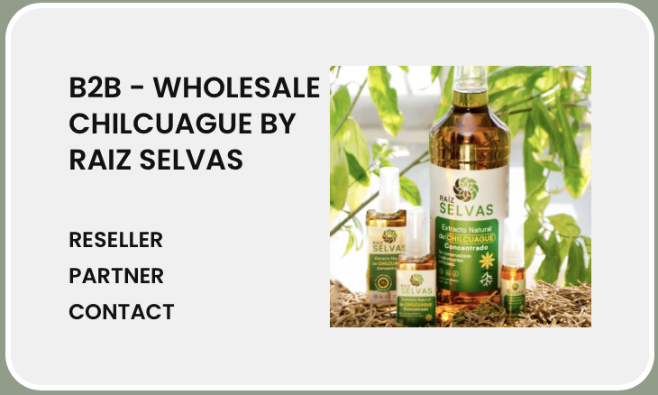 A webpage for Raiz Selvas showcasing wholesale Chilcuague products with an image of dropper bottles and a large bottle of natural extract surrounded by green leaves.