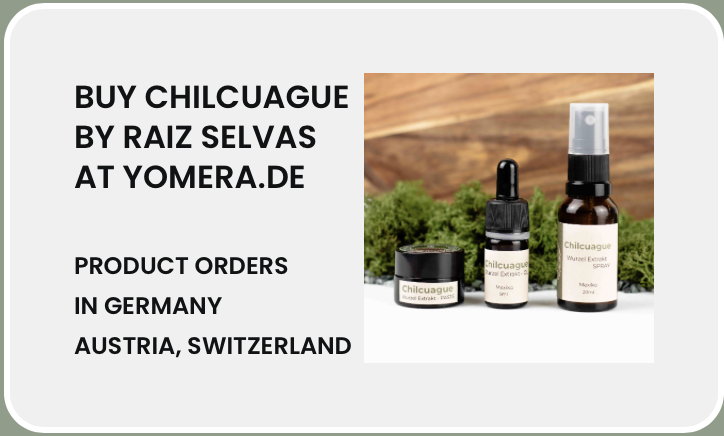 Advertisement for Chilcuague products by Raiz Selvas on chakaworld.org, where you can buy Chilcuague tincture, Chilcuague paste, Chilcuague oil, Chilcuague products.