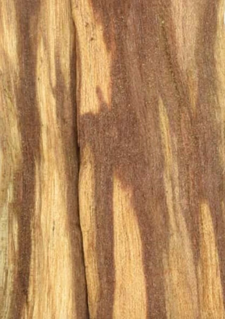 palosanto5.jpg (Copy) (Copy)