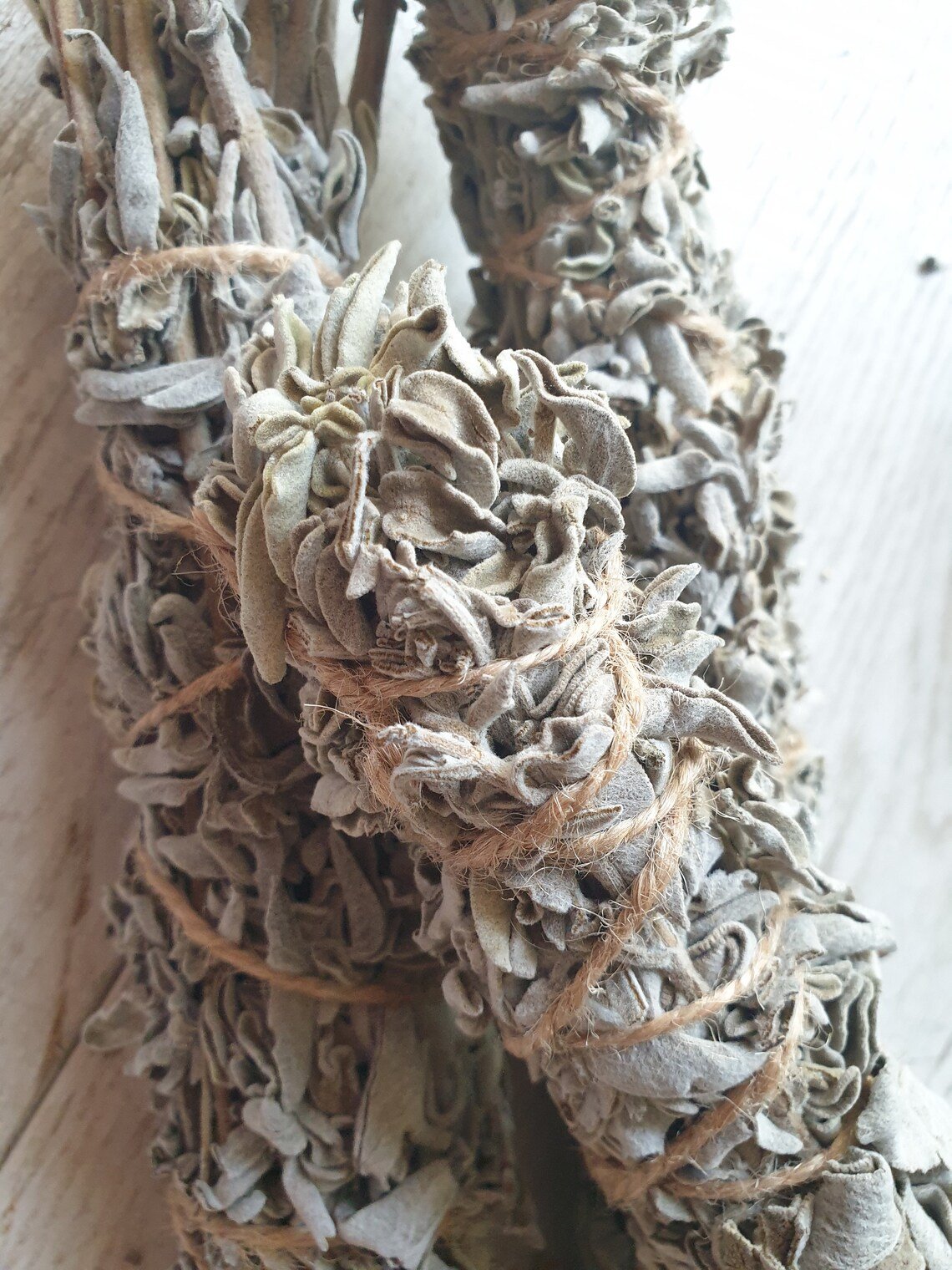 wild sage.jpg