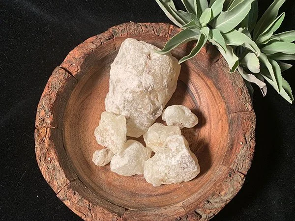 Copal_blanco.jpg