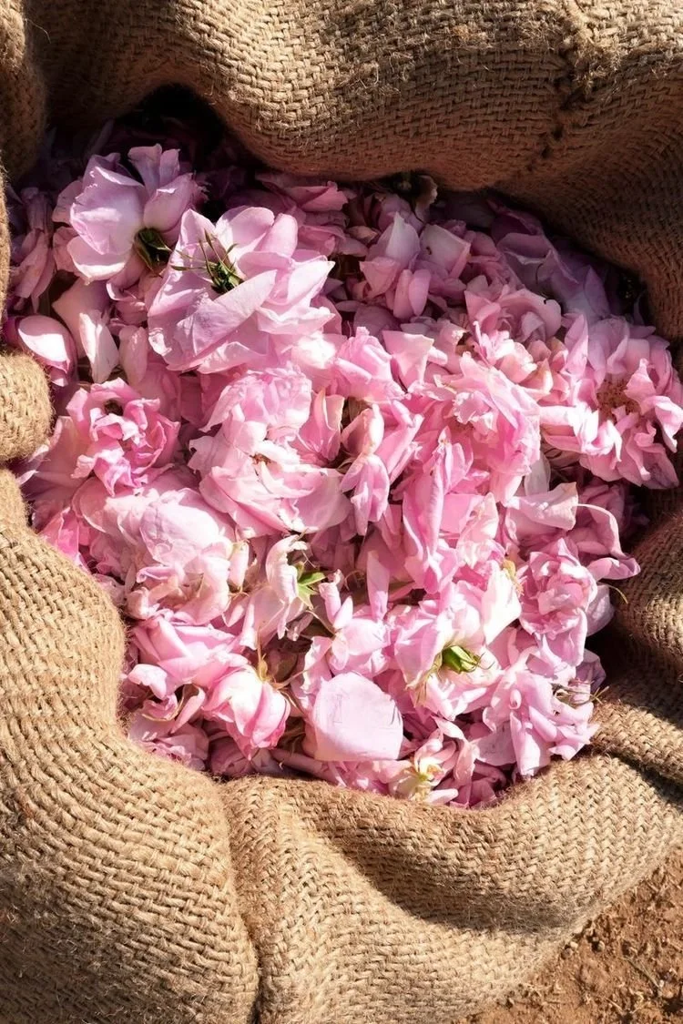 Essential oils