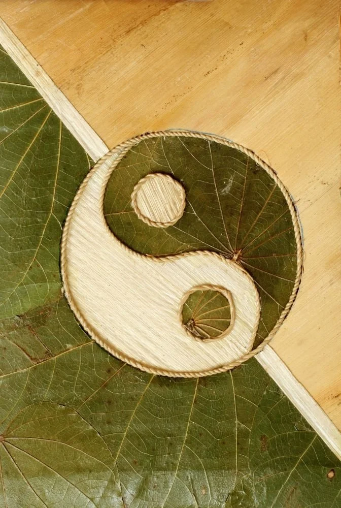 Ying & Yang