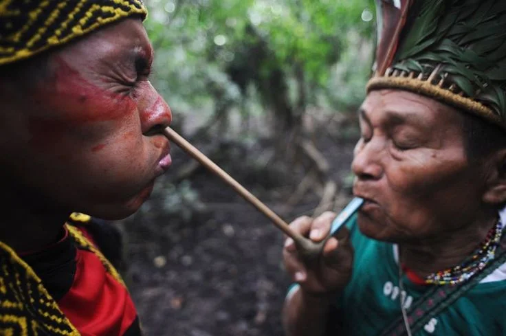 Two indigenous people in traditional clothing and headgear engage in a cultural practice outdoors, with one blowing a long wooden pipe toward the other's face.