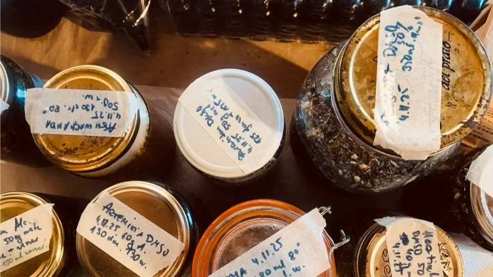 Various jars with handwritten labels on a wooden surface.