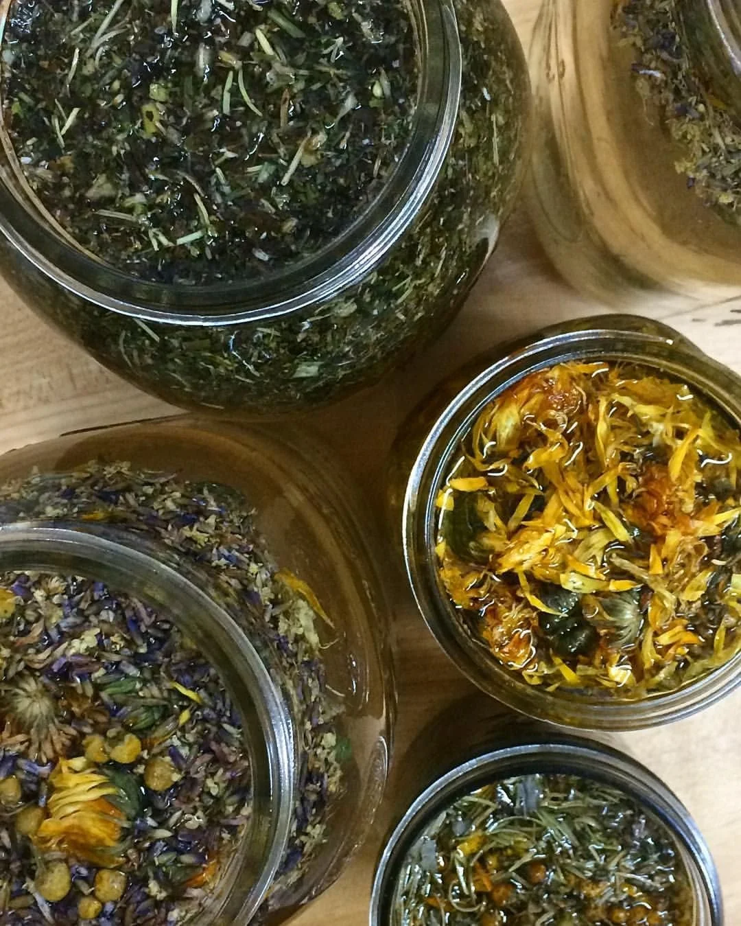 Jars filled with dried and fermented flowers and herbs on a wooden surface.