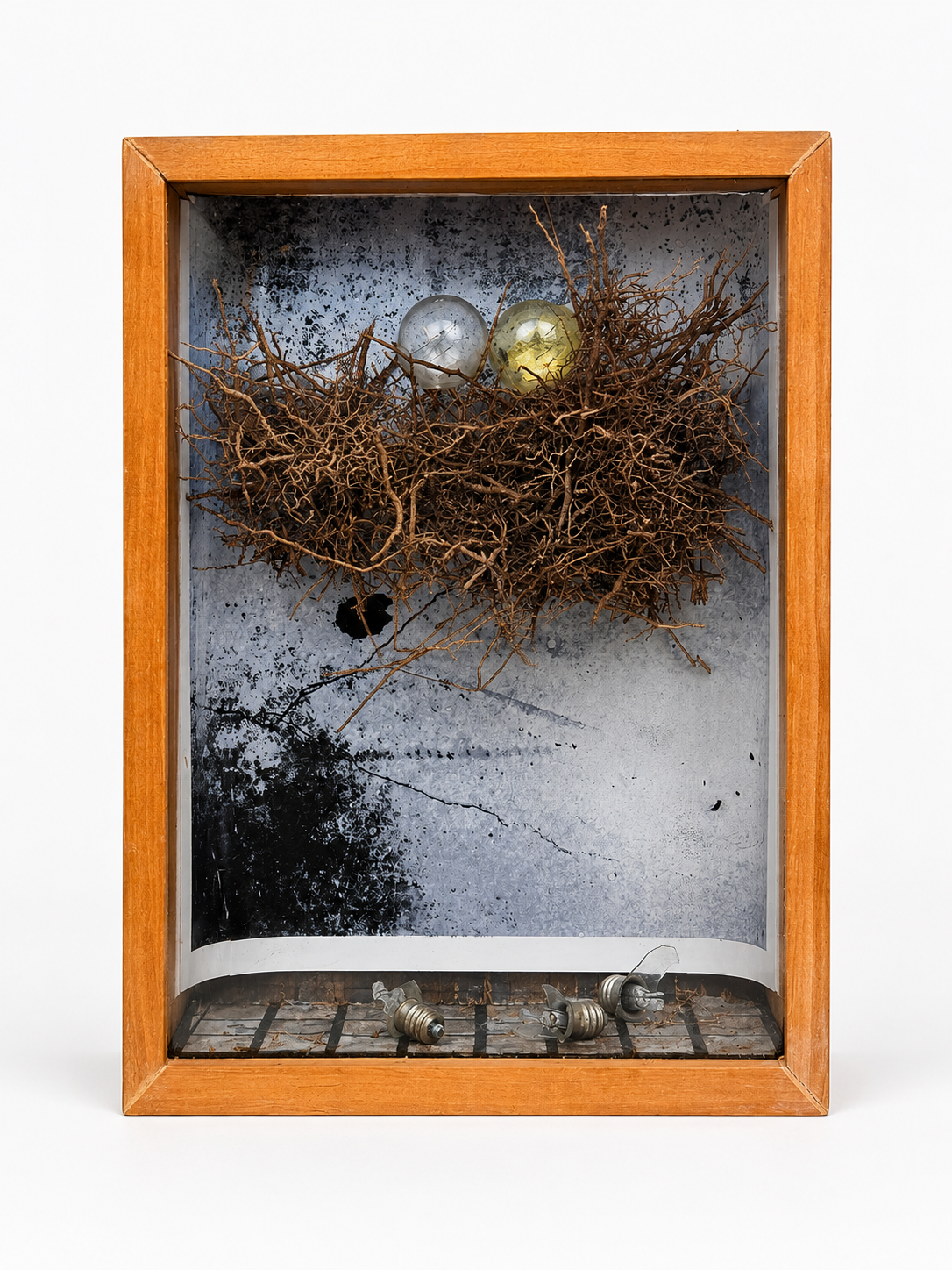 Things Happen / 2020 / Materials: Lightbulbs, found natural materials, Norman's photographs, wood, beveled glass