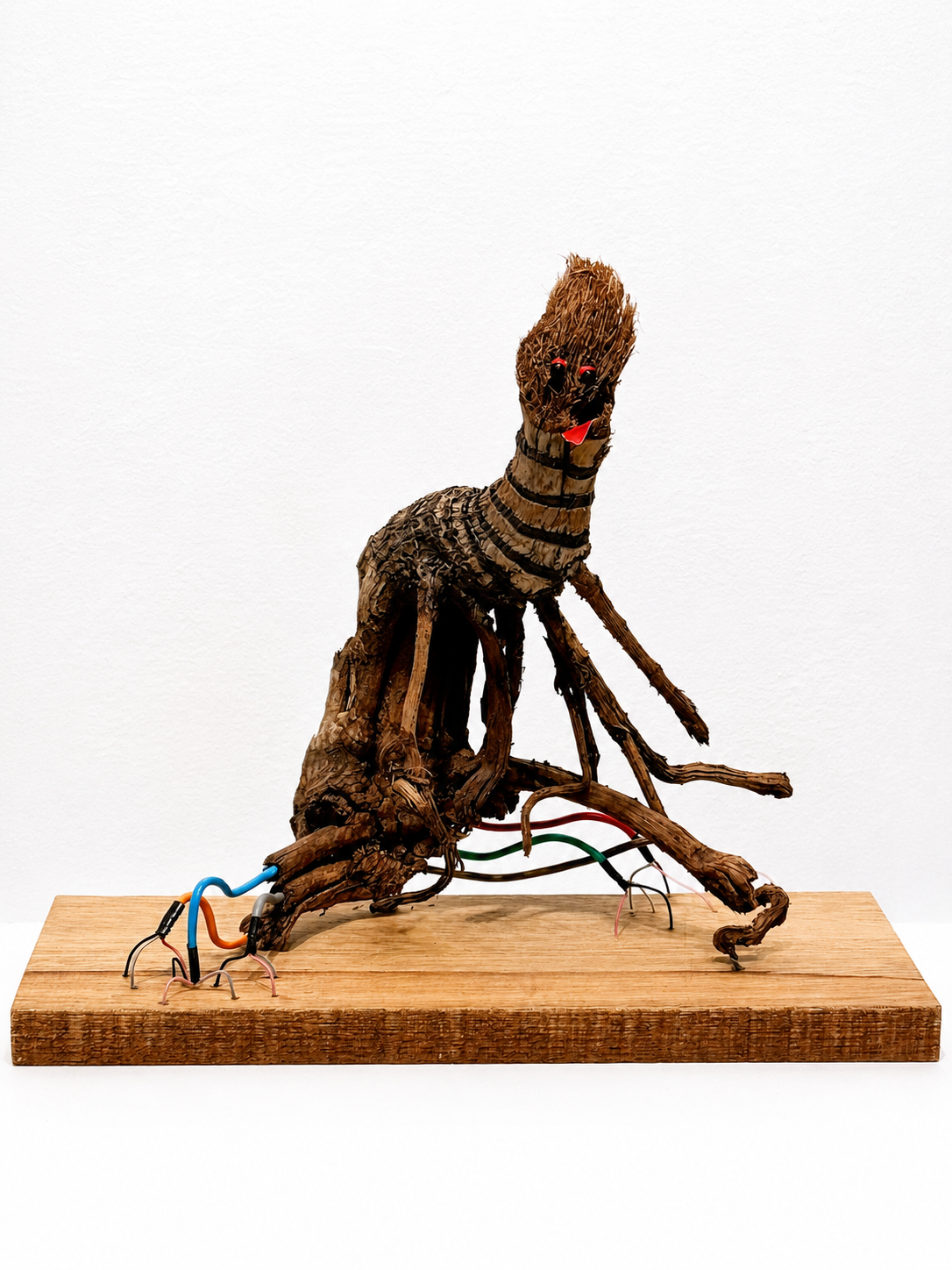 Lucky Shrimpy / 2025 / Materials: Garden clippings, electrical wire, rosary peas, wine bottle foil, wood base