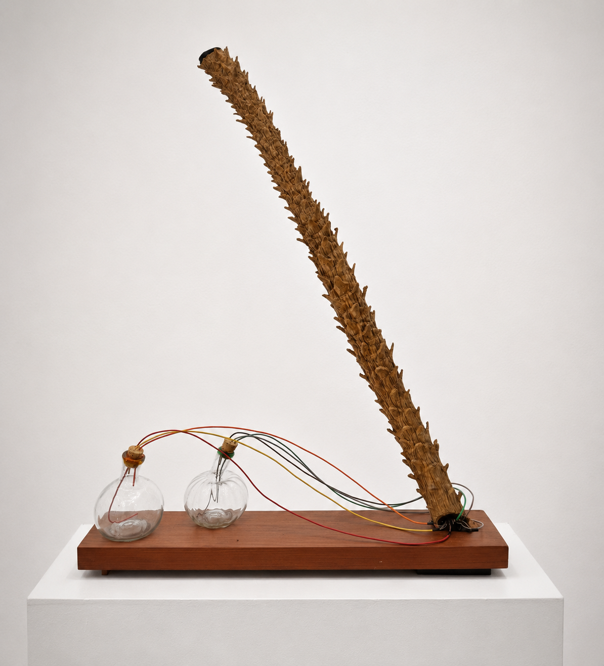 P2: Long John Silver / 2023 / Materials: Two tequila bottles, palm tree trunk, electrical wires, wood base
