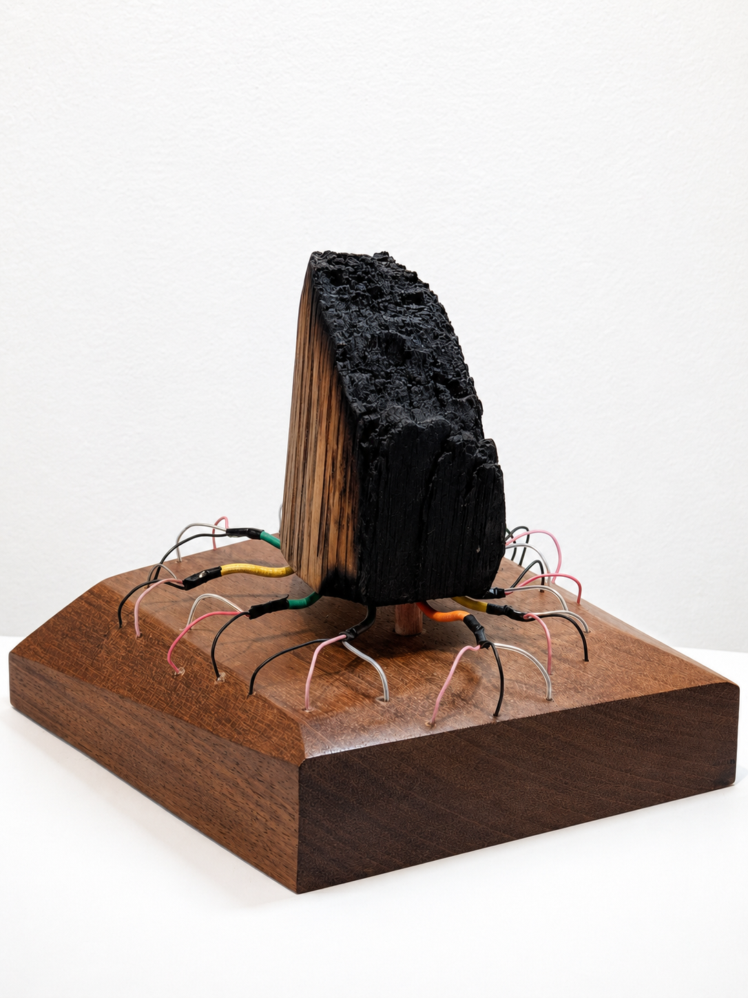Burnt Wood / 2022 / Materials: Burnt wood, electrical wires, wood base