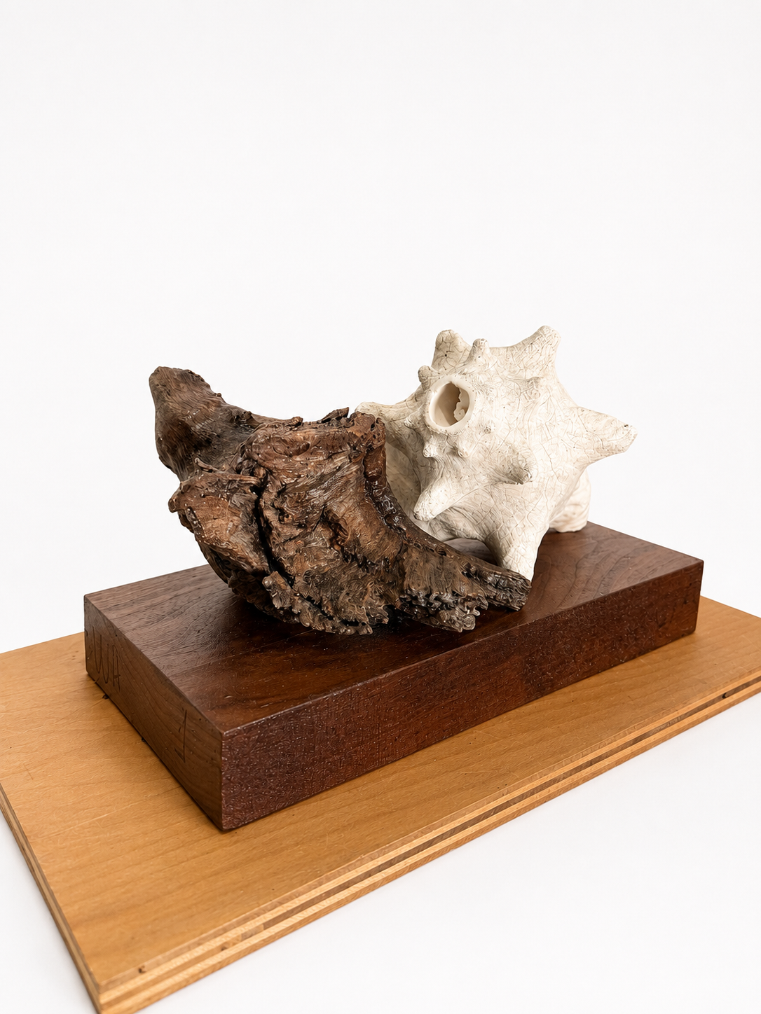 Loving Couple / 2026 / Materials: Conch shell, found wood, wood base