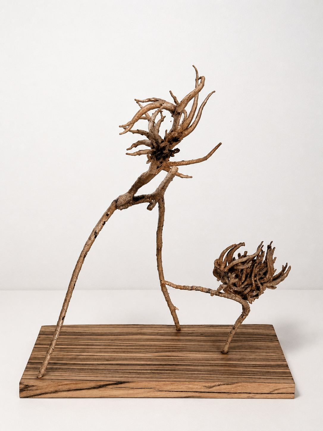 Karate Kids / 2020-2024 / Materials: Garden clippings, zebra wood base